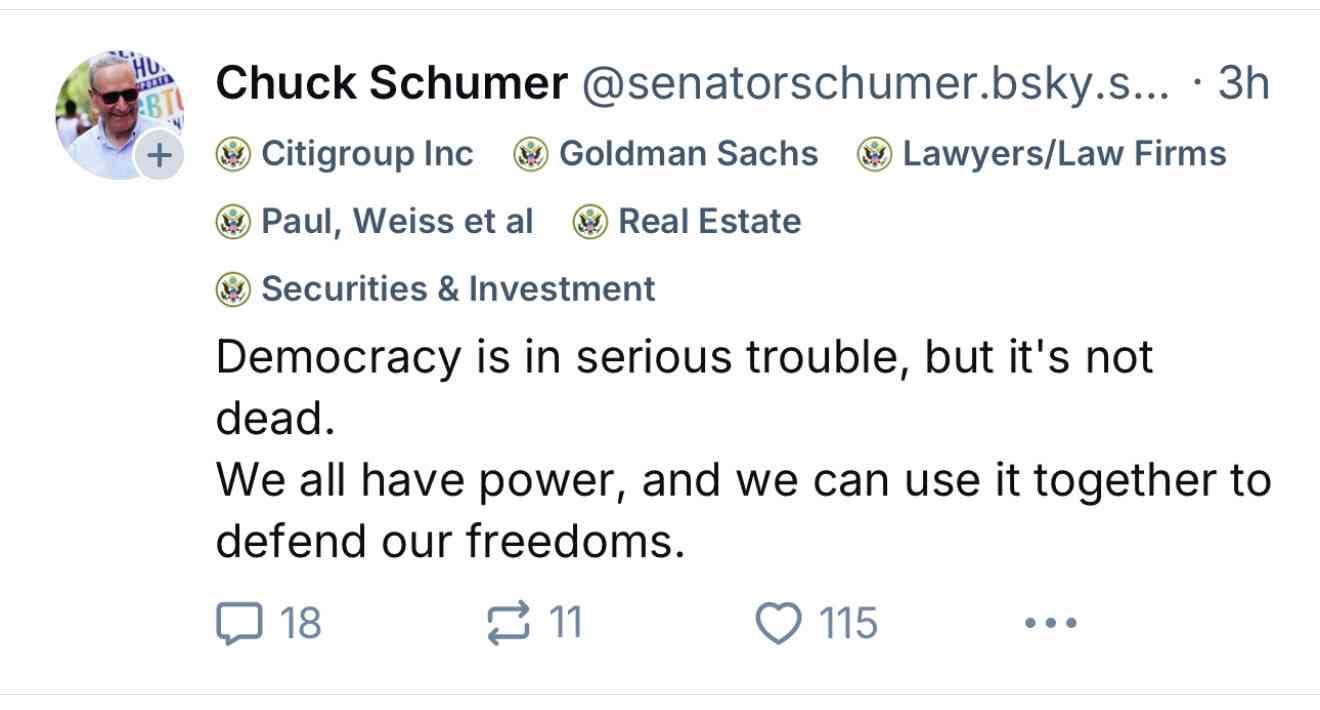 Post by Chuck Schumer. Labels show affiliated organizations: Citigroup Inc, Goldman Sachs, Lawyers/Law Firms, Paul, Weiss et al, Real Estate, Securities & Investment. Post text reads "Democracy is in serious trouble, but it's not dead. We all have power, and we can use it together to defend our freedoms."