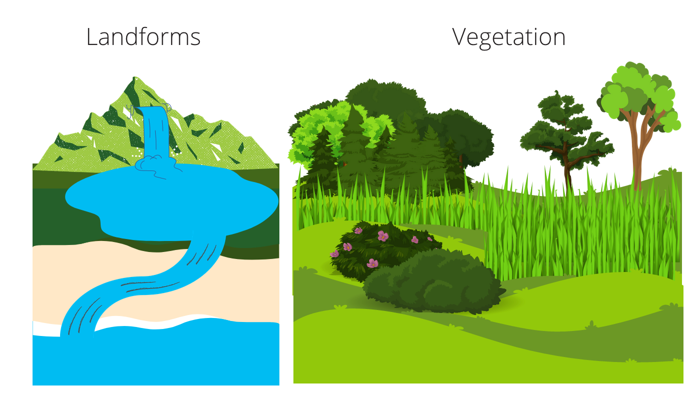 two vector drawings of landscapes. the left one is titled "landforms" and shows a mountaintop waterfall flowing into a lowland pond, and then out onto the beach and into the ocean

The right image is titled vegetation. It shows a rolling prairie with grasses and shrubs. On the top left there is a small woodland, and the top right is scattered individual trees.