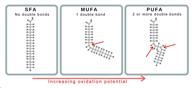 oxidation potential