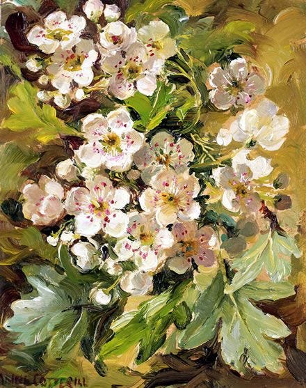 Hawthorn | Flower painting, Flower artists, Floral painting