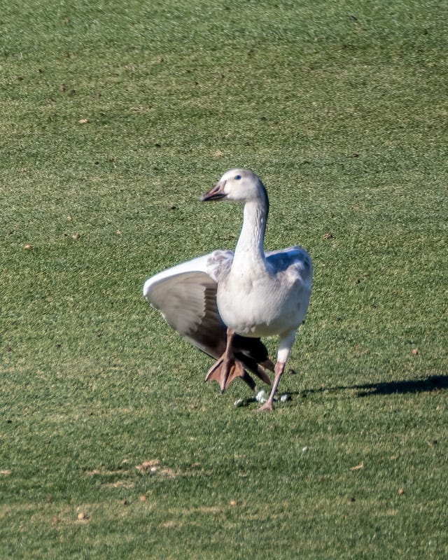 20251224-SGC-16-Edit.jpg