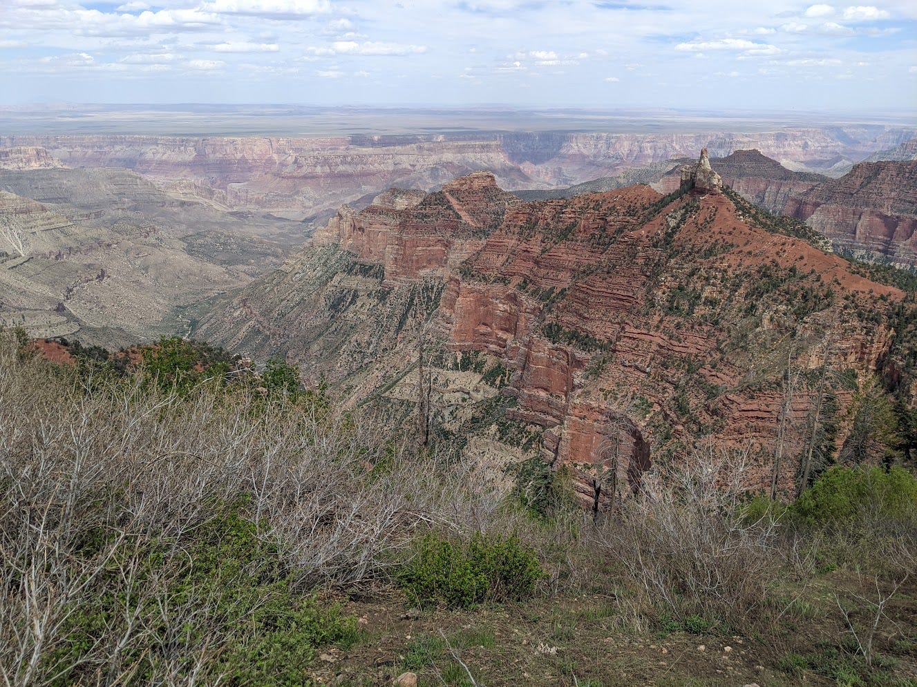 The view from the rim of the Grand Canyon. Large red cliffs visible.