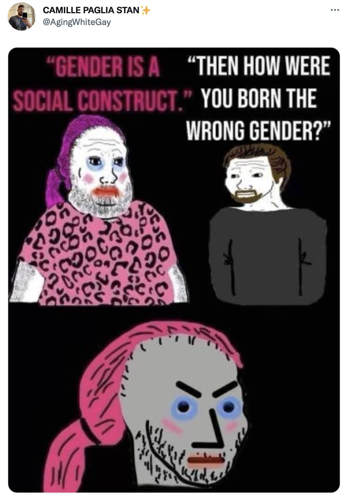 May be a cartoon of ‎2 people and ‎text that says '‎CAMILLE PAGLIA STAN @AgingWhiteGay … GENDER "THEN HOW WERE SOCIAL CONSTRUCT YOU BORN THE WRONG GENDER?" هلی‎'‎‎