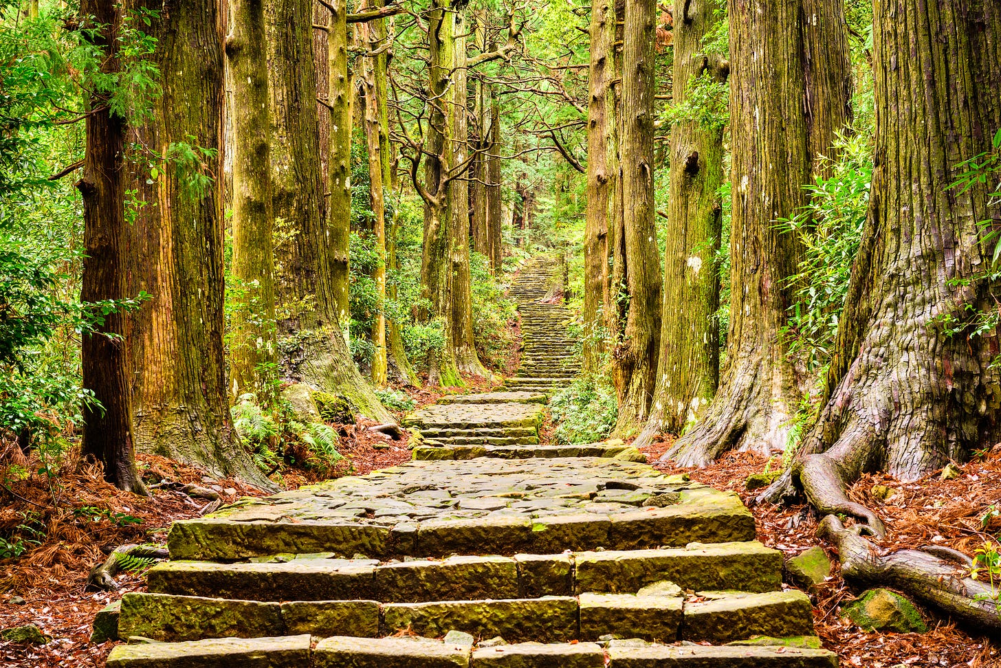 kumano kodo trail in japan