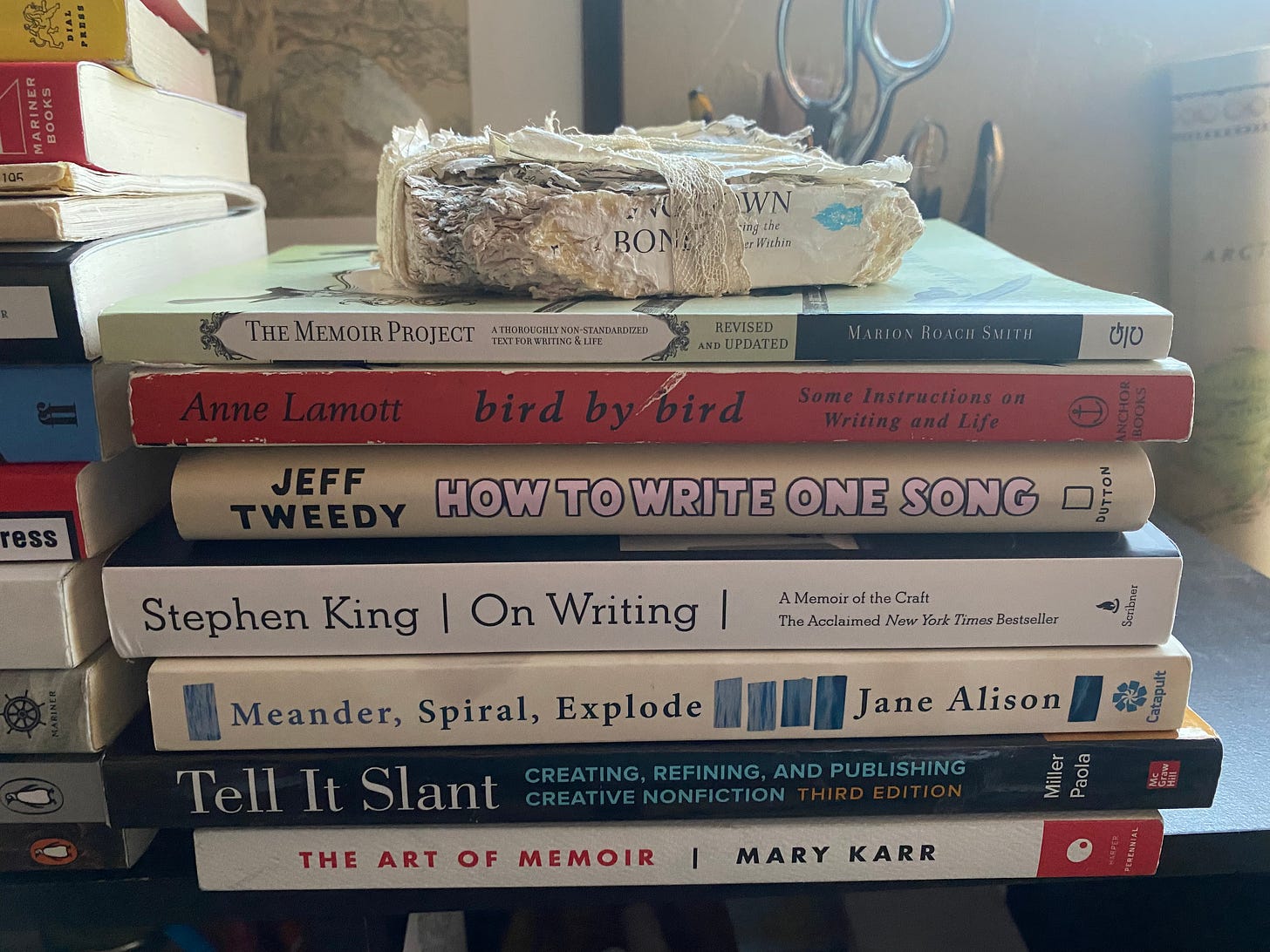Eight writing books stacked on a shelf. The top book is chewed. ‘Writing Down the Bones’ by Natalie Goldberg, ‘The Memoir Project’ by Marion Roach Smith, ‘Bird by Bird’ by Anne Lamott, ‘How to Write One Song’ by Jeff Tweedy, ‘On Writing’ by Stephen King, ‘Meander, Spiral, Explode’ by Jane Alison, ‘Tell It Slant’ by Brenda Miller and Suzanne Paola, ‘The Art of Memoir’ by Mary Karr 