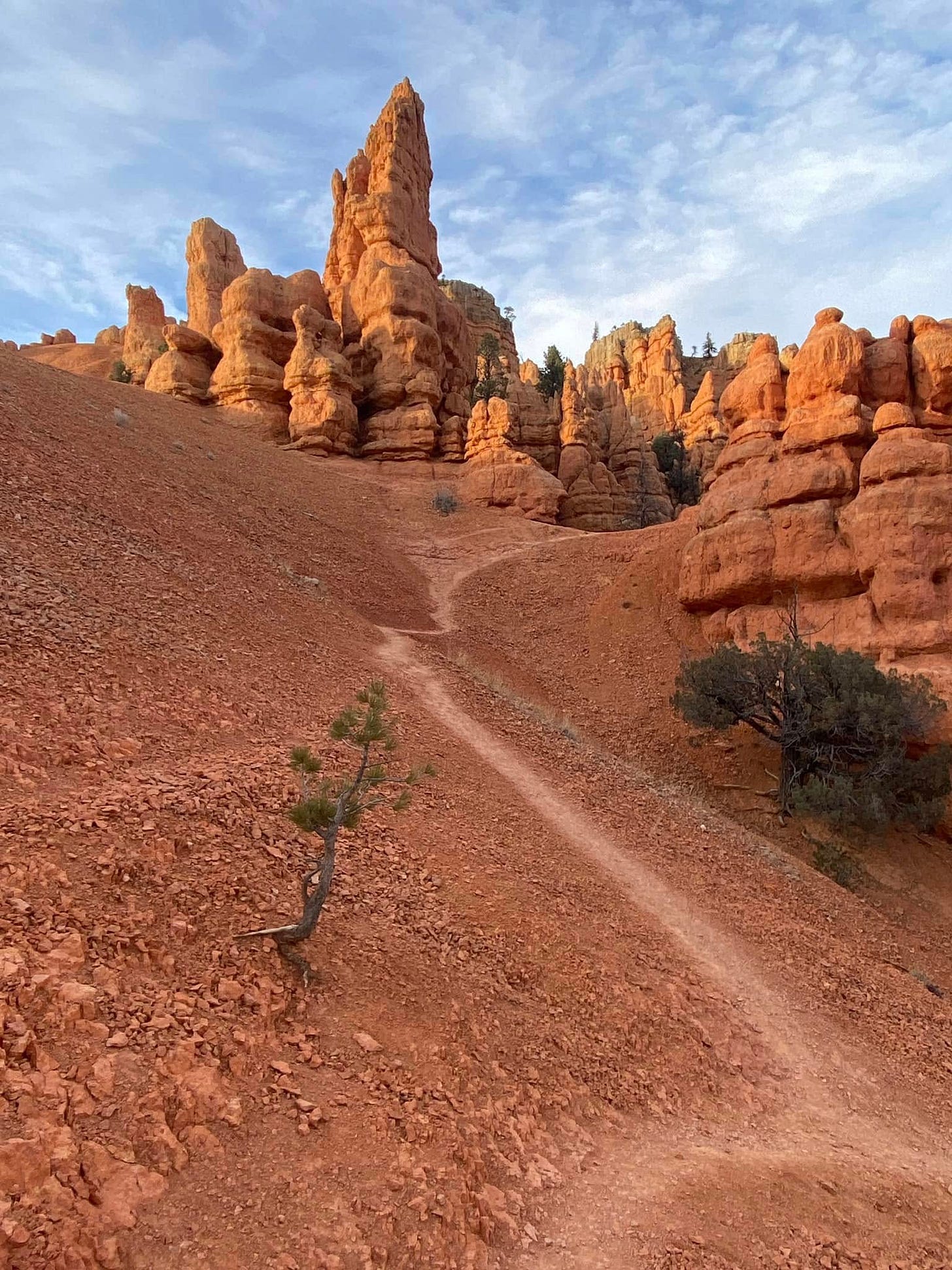 May be an image of Bryce Canyon National Park