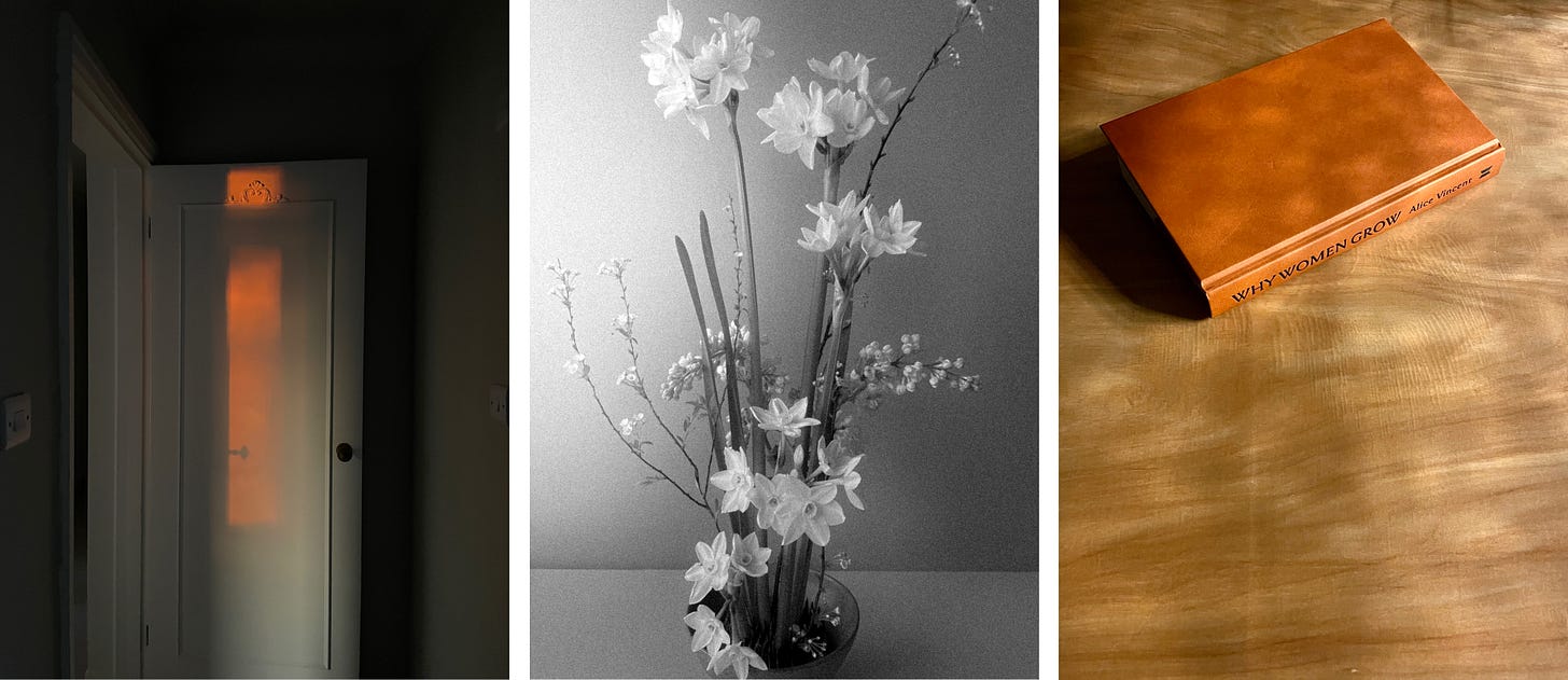 3 pictures. From left to right; red sunshine on a door, an arrangement of spring flowers, the book Why Women Grow on a table.
