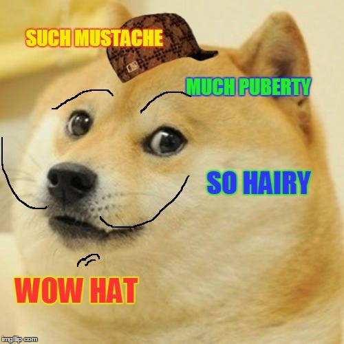 manly doge - Imgflip