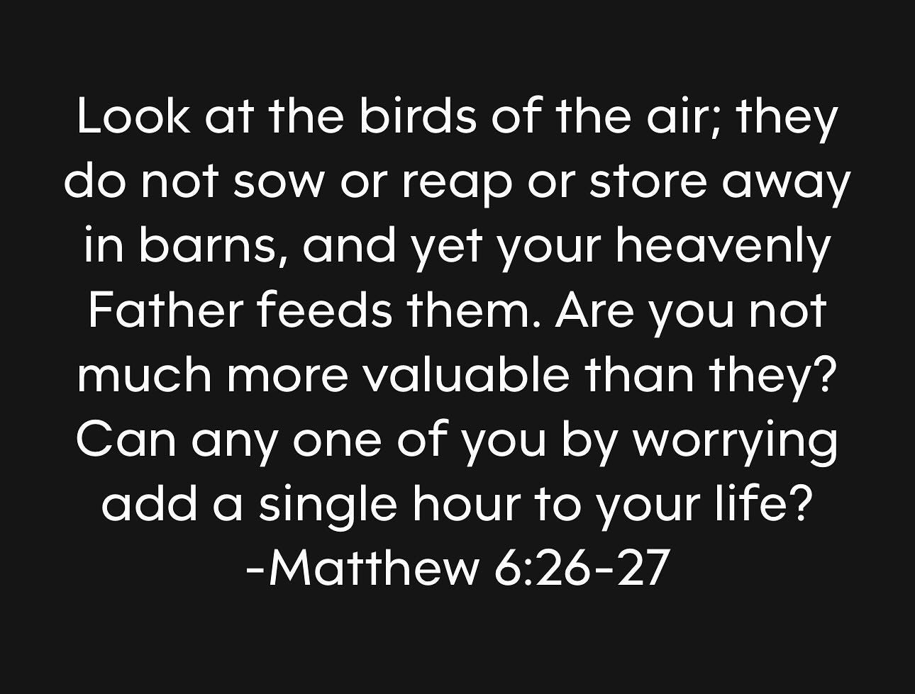 Photo by Stan R. Mitchell, author and podcaster on February 24, 2024. May be an image of nest, plant and text that says 'Look at the birds of the air; they do not SOW or reap or store away in barns, and yet your heavenly Father feeds them. Are you not much more valuable than they? Can any one of you by worrying add a single hour to your life? -Matthew 6:26-27'.