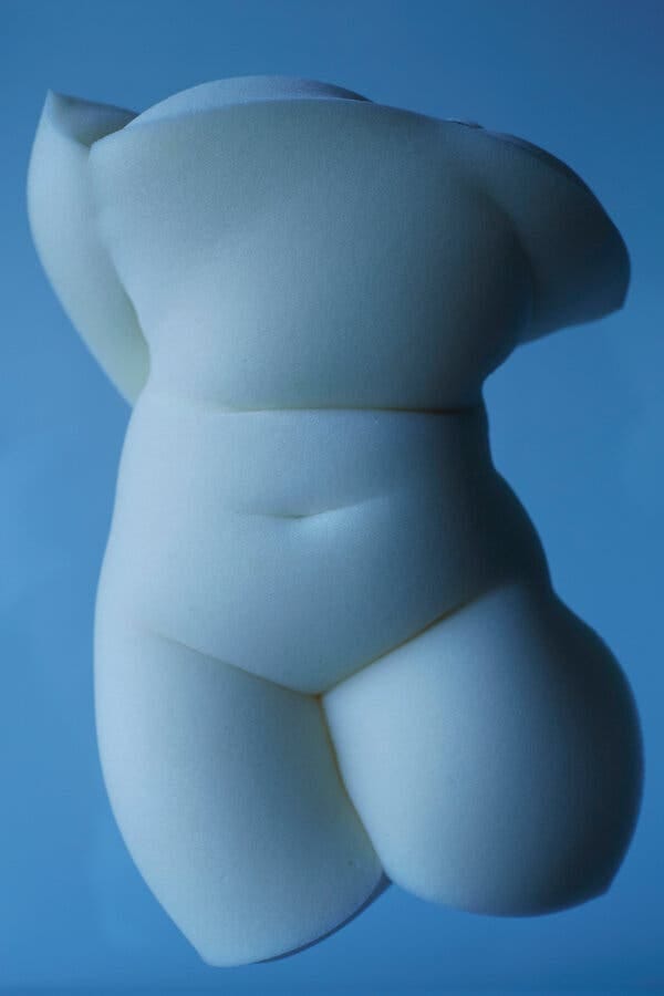A stylized image of a torso. 