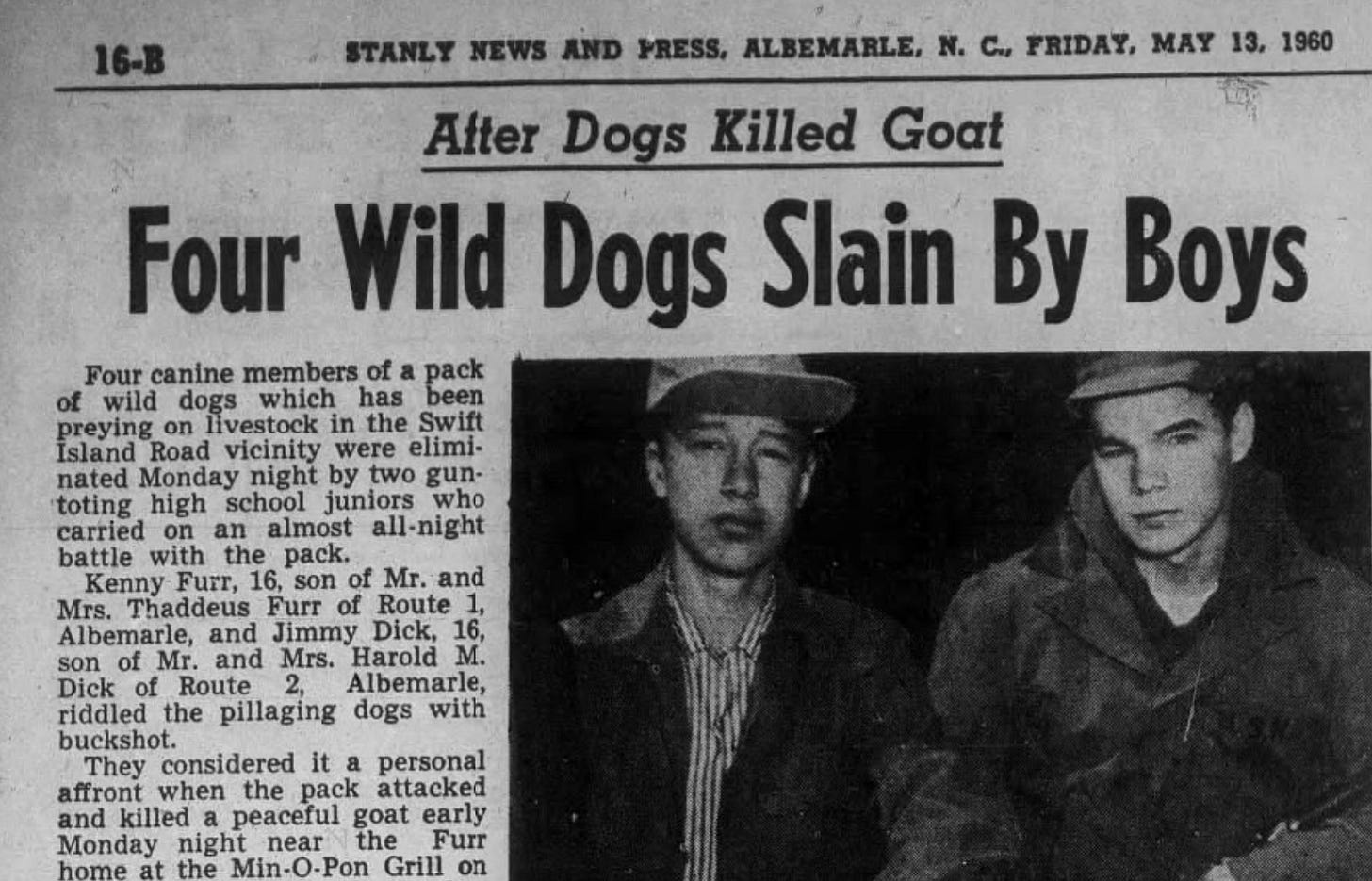 Headline: Four Wild Dogs Slain By Boys