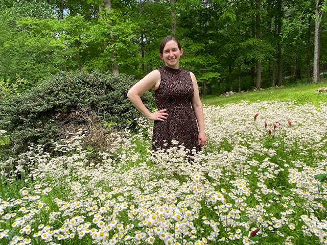 person standing in meadow of daisy fleabane