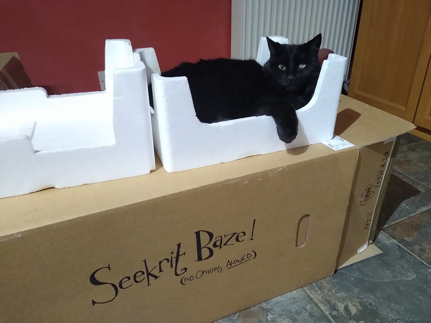 A little black cat sits on top of a large cardboard box.