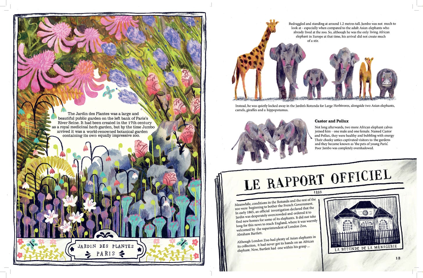 Illustration of a postcard depicting the Jardin Des Plantes in Paris, an official report about the rotunda de la menagerie, and several animals.