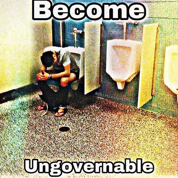 Become Ungovernable | Know Your Meme