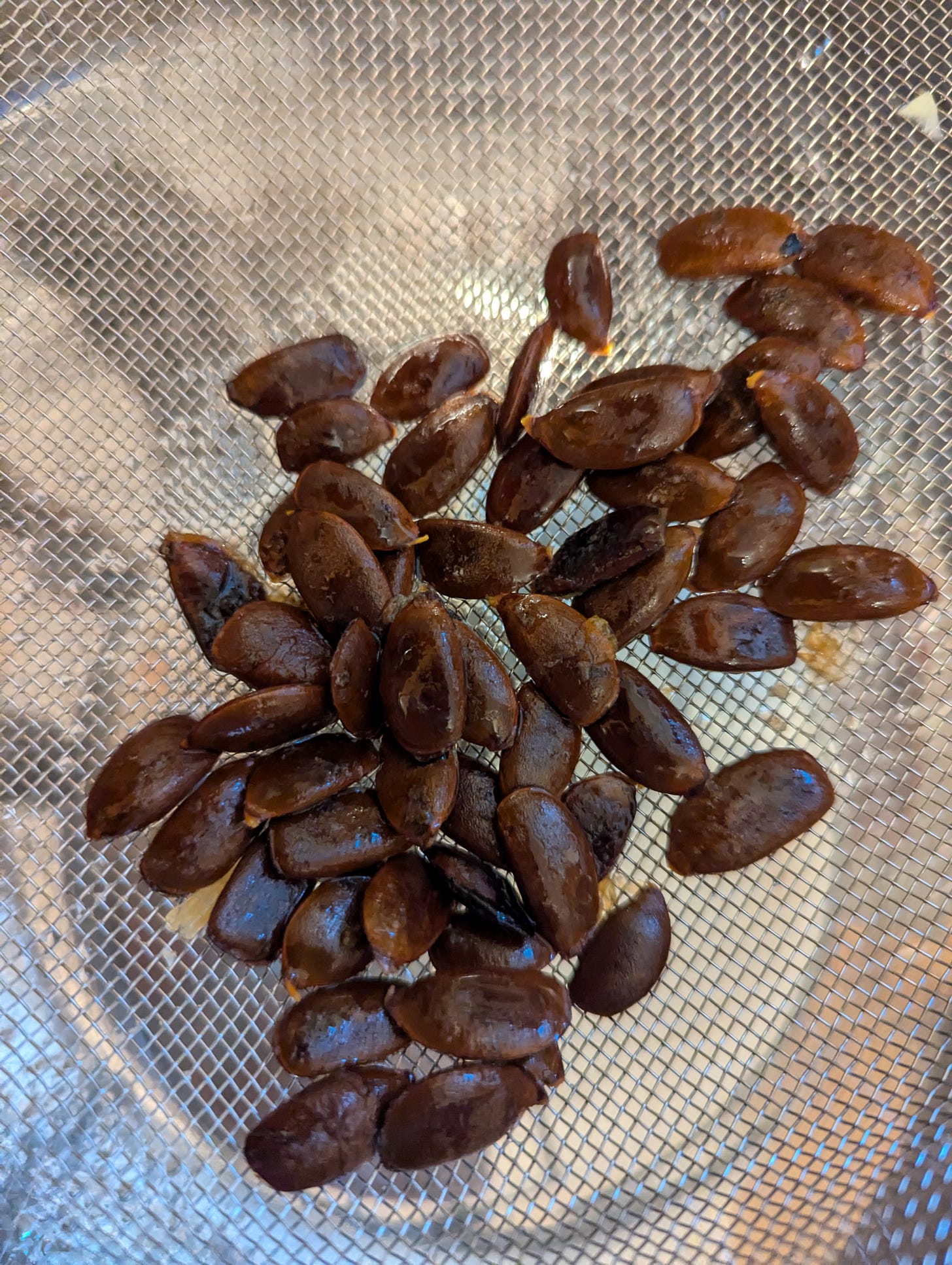 persimmon seeds