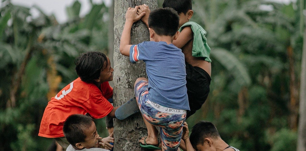 Boys climbing a tree