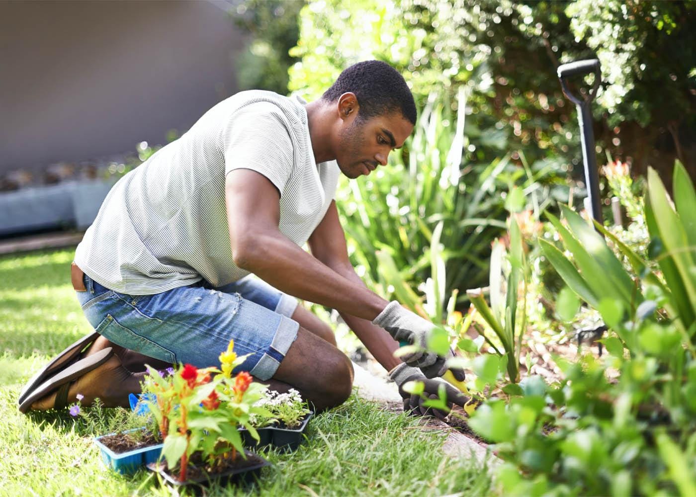 Gardener | Find Gardeners Near Me | Gardening & Landscaping Service