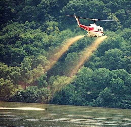 Helicopter spraying river for black fly larva