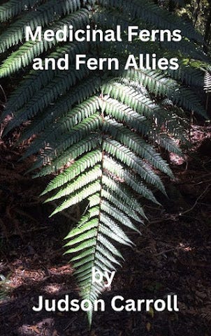 Medicinal Ferns and Fern Allies, an Herbalist's Guide (Medicinal Plants of The American Southeast)