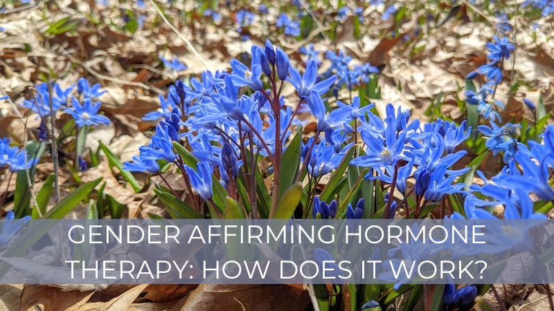 Gender affirming hormone therapy: How does it work?