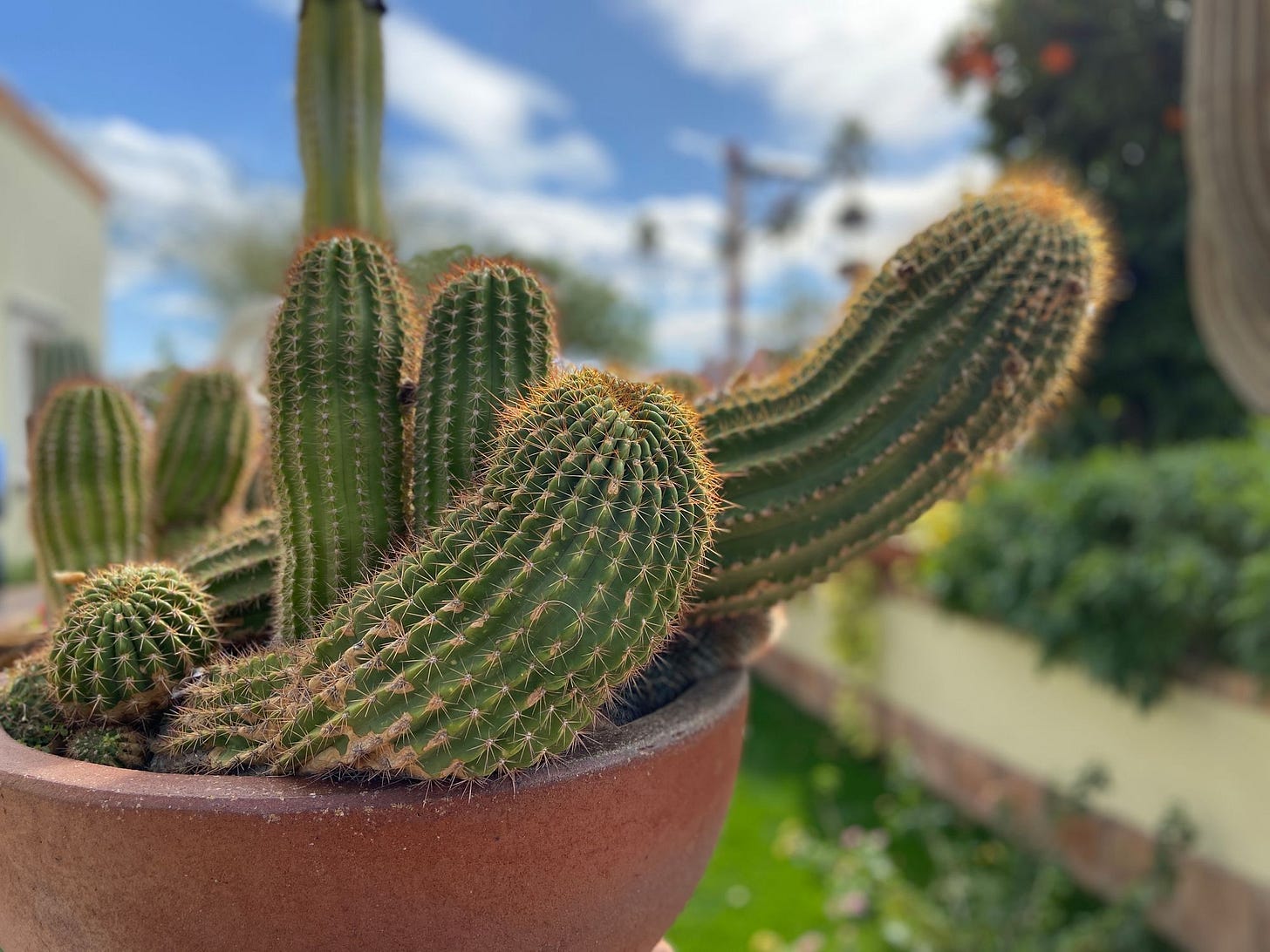 Hotel Review: Villa Mirage Scottsdale, Arizona.