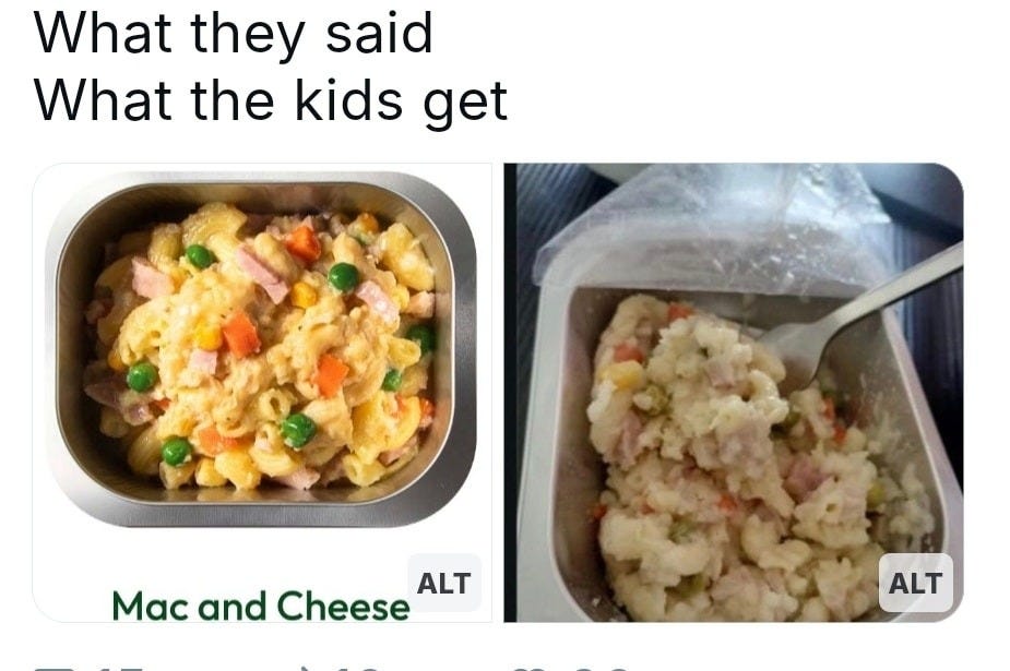 meme with picture of school lunches, with promised image of appetizing looking macaroni and cheese, and the provided grey slop