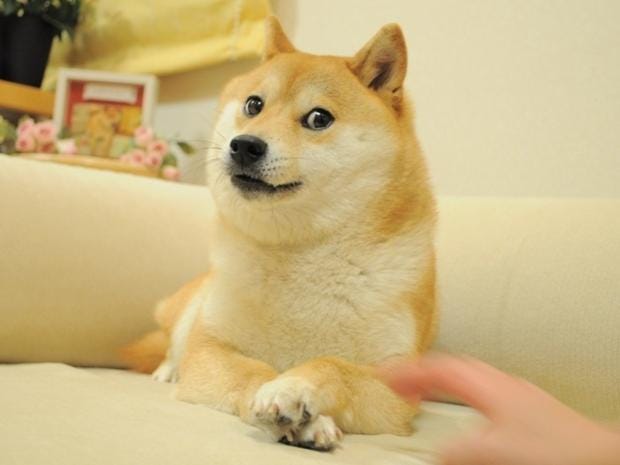 Doge 2 Meme Generator