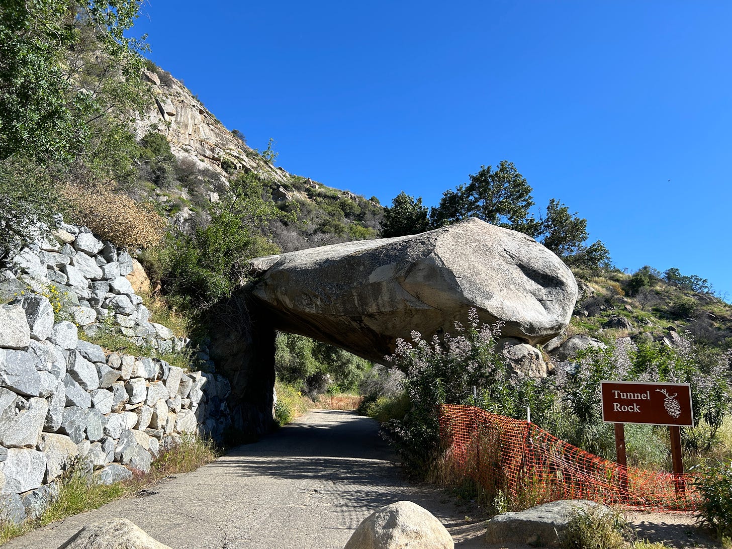 Visiting Sequoia National Park