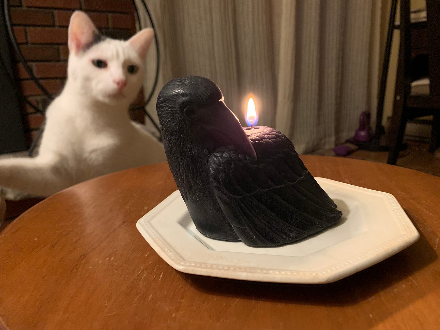 A black, raven-shaped candle sits on a stool. Behind the stool and to the left, a white cat stands with a paw outstretched, looking curiously at the candle.