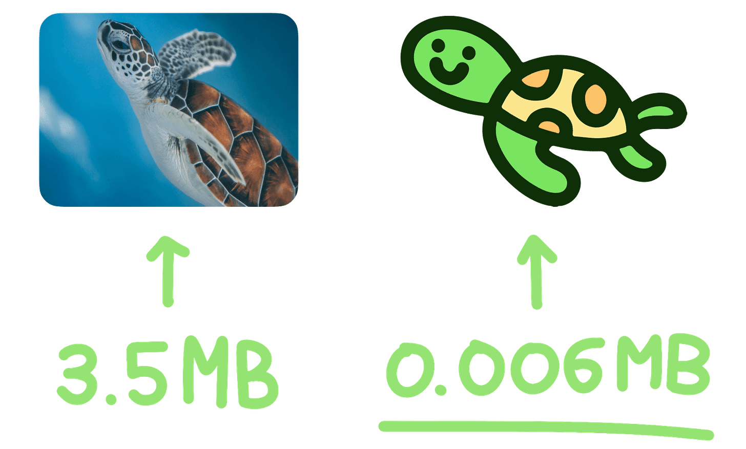 An image showing a photograph of a turtle, labelled 3.5 megabytes. Next to it is an illustration of a cute turtle, labelled 0.006 megabytes.