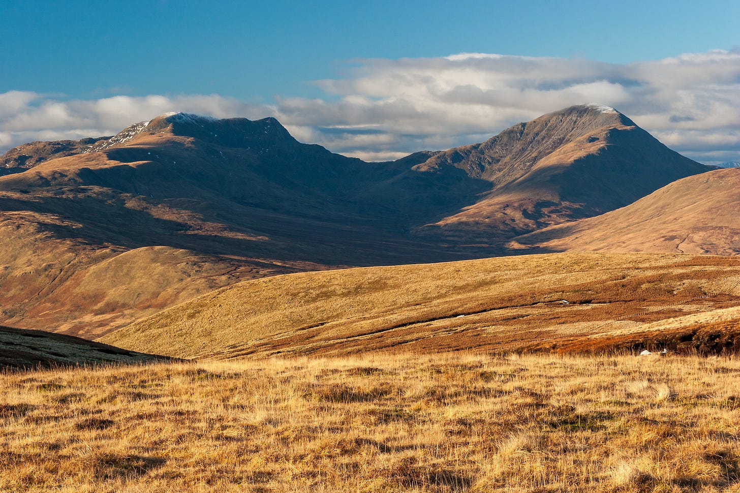 The highest ground on Drummond estate, looking up Gleann Dubh Choirein to the Munros Stuc a’ Chroin and Ben Vorlich © Felicity Martin The highest ground on Drummond estate, looking up Gleann Dubh Choirein to the Munros Stuc a’ Chroin and Ben Vorlich © Felicity Martin