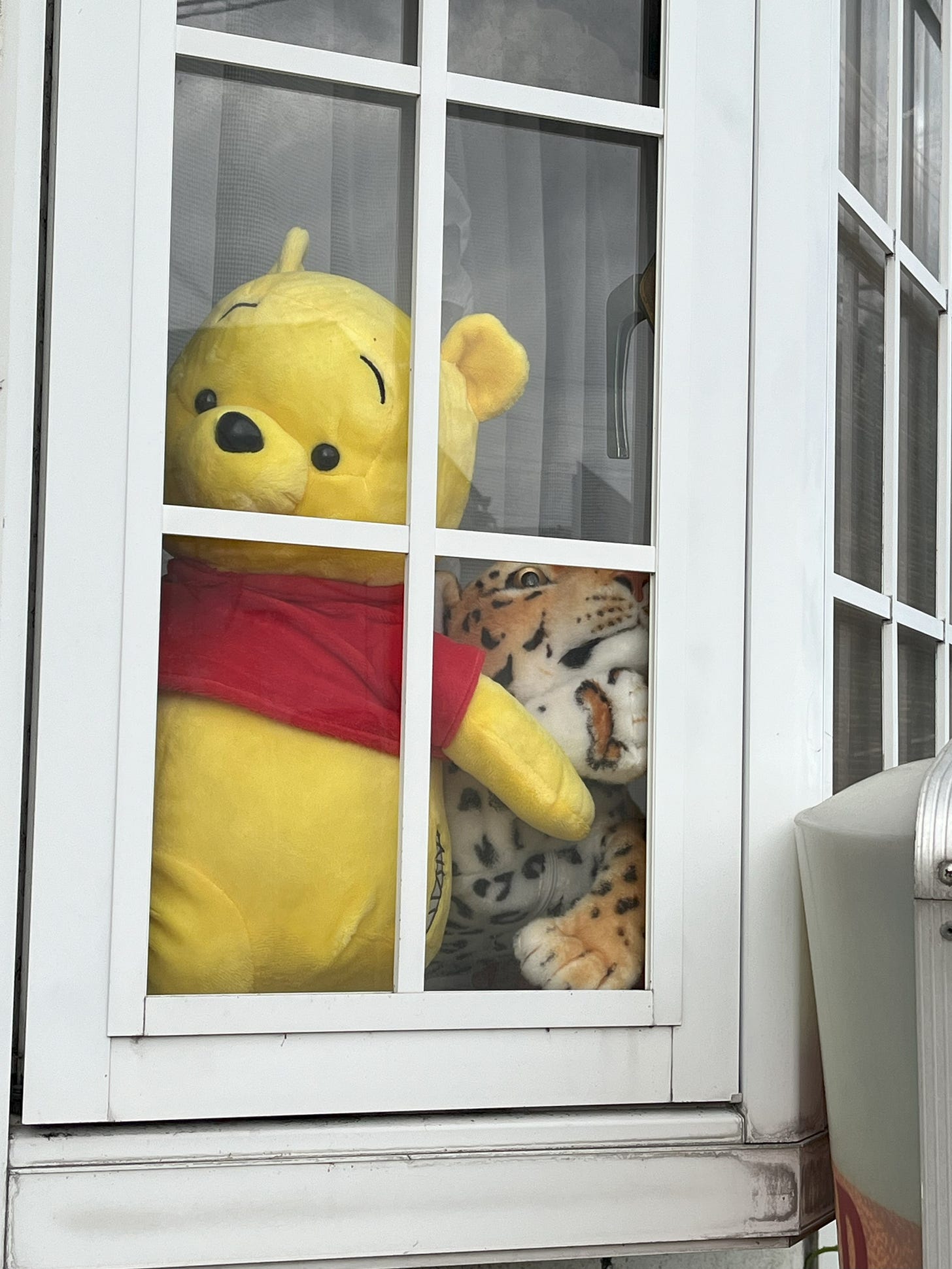 A photo of two stuffed toys in a window. One is Winnie the Pooh, with a backside exploding out of stitching, the other is a leopard, which looks alarmed at the way it's being squeezed by Winnie's fat backside.