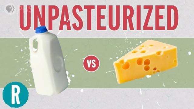 Unpasteurized raw milk and cheese