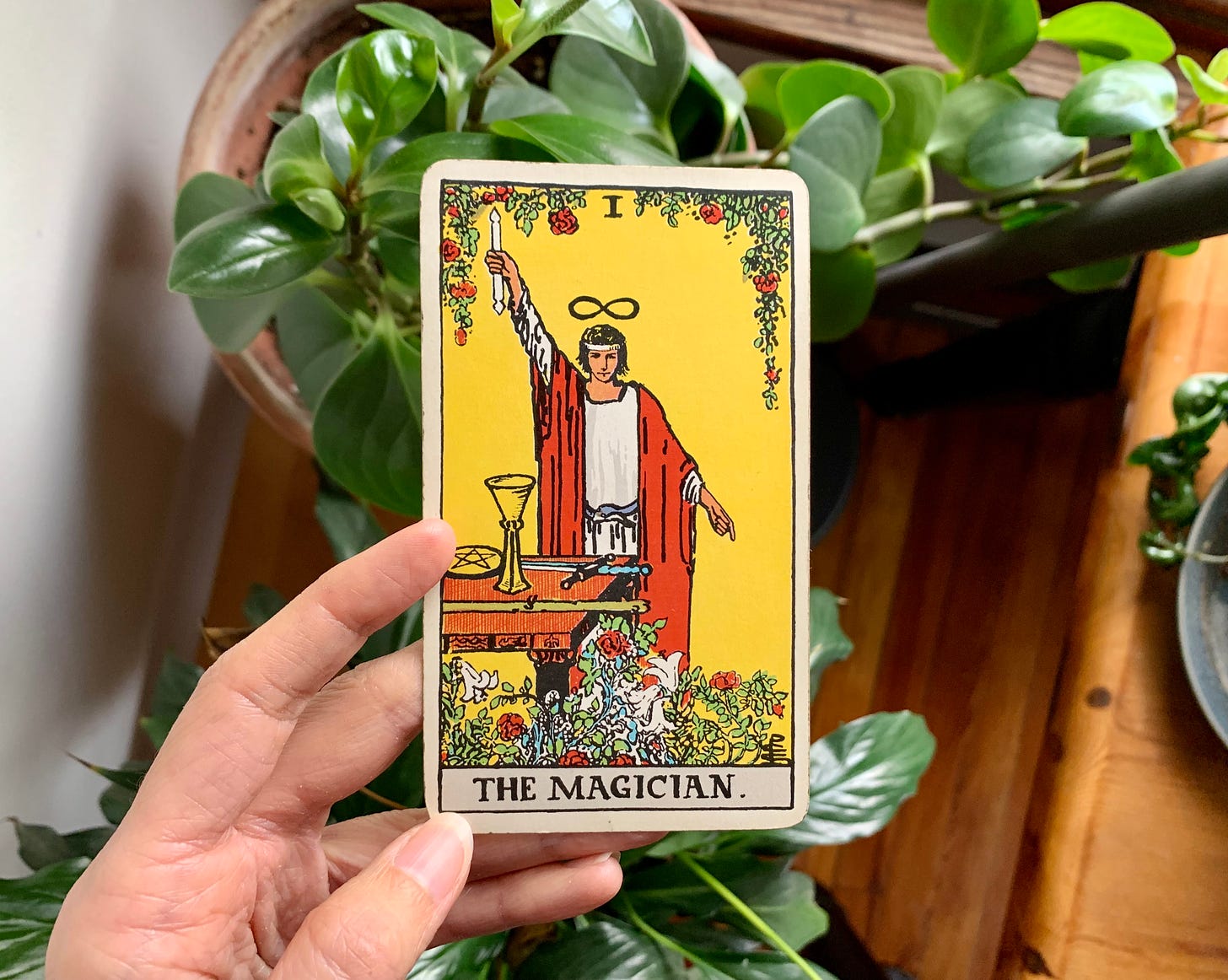 A hand is holding a tarot card, the magician by Pamela Colman Smith for the Rider-Waite-Smith Tarot. In the image, a person in a white gown with a red vest is pointing one hand to the sky and one to earth. The background is yellow and they are standing in front of a table with a pentacle, cup, sword and wand on it. There are flowers everywhere. Behind the card are a bunch of house plants, a wood bench and table, and a window sill. 