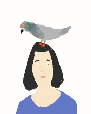 Gif de ilustração de um pombo cagando na cabeça de uma mulher