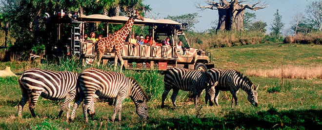 Kilimanjaro Safaris at Animal Kingdom | OrlandoVacation.com