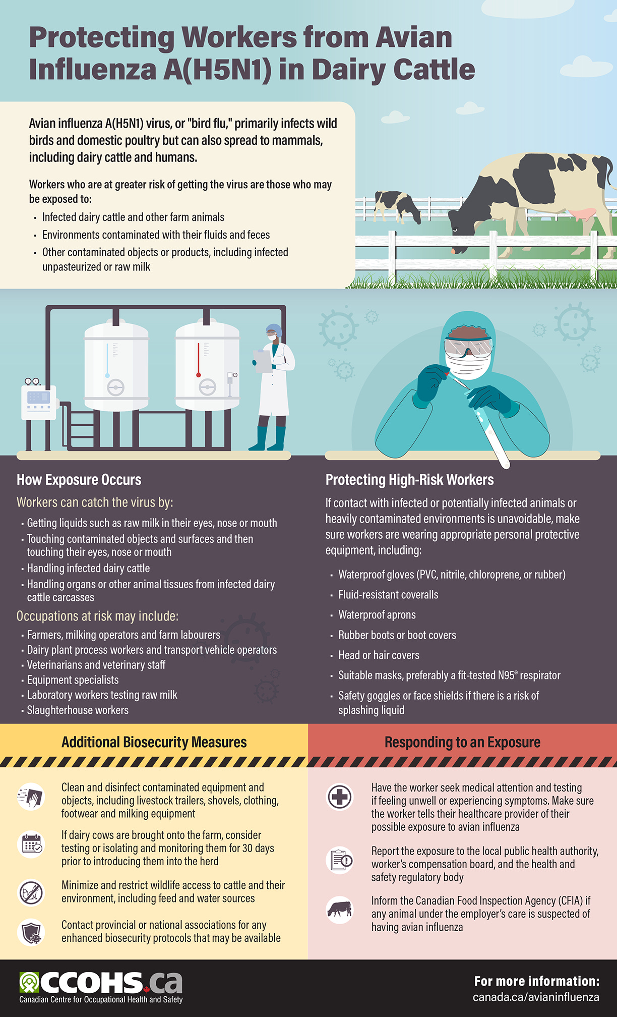 Infographic: COVID-19 Controls