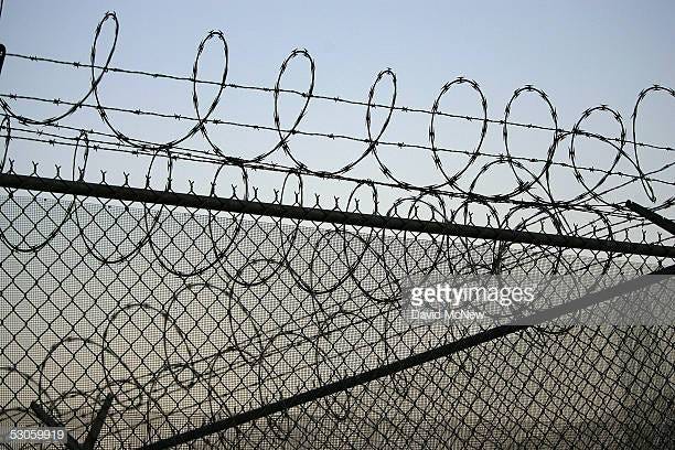 Photo by David McNew/Getty Images News / Getty Images