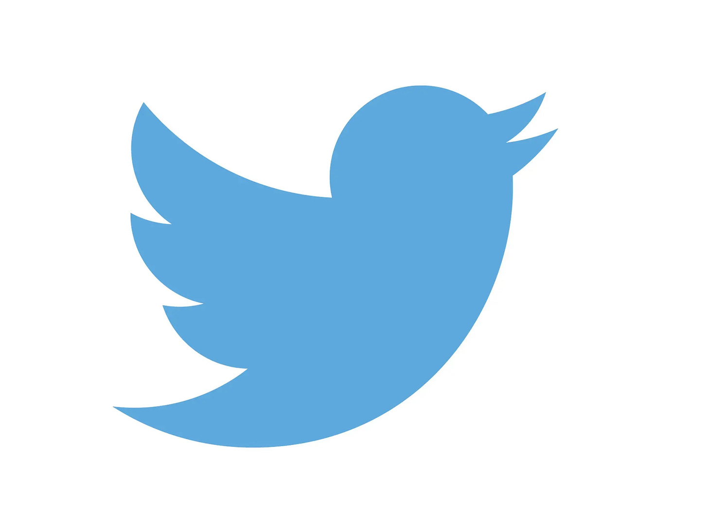 the twitter logo of a blue bird