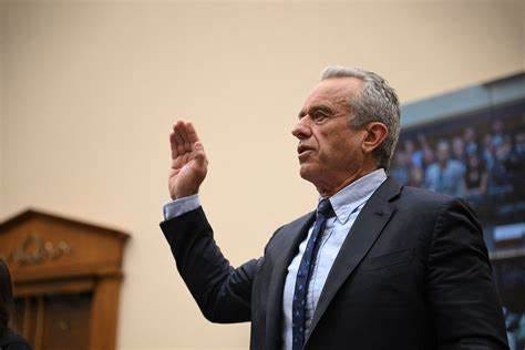 "You're slandering me": RFK Jr. snaps at Dems after Jordan's ...