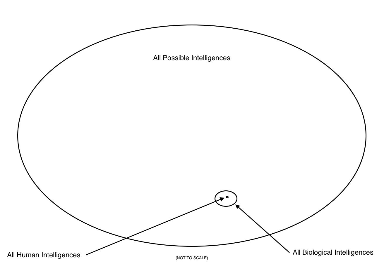 A Venn diagram of a large set of all possible intelligence with a very small subset of biological intelligences and an even smaller subset of that subset which is all human intelligences