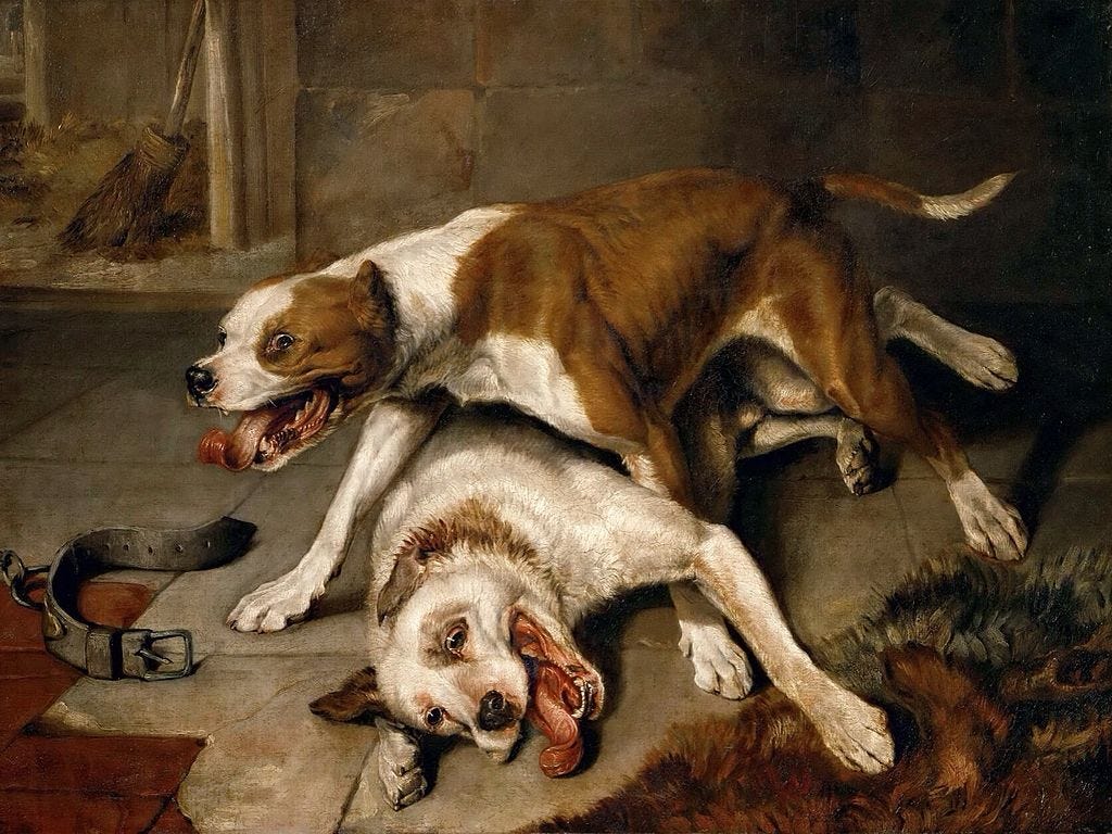 File:Fighting dogs catching their breath - painting.jpg - Wikipedia
