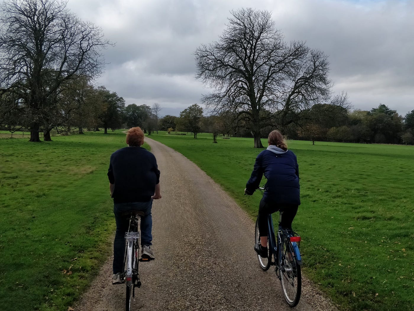 Couple biking through a park