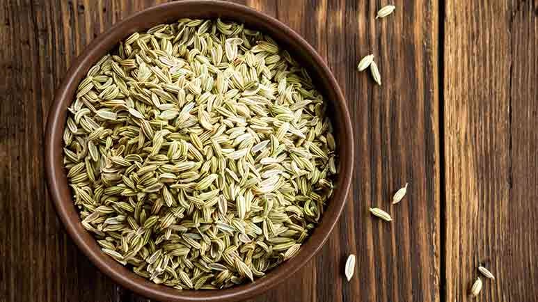 the digestive power of fennel seeds