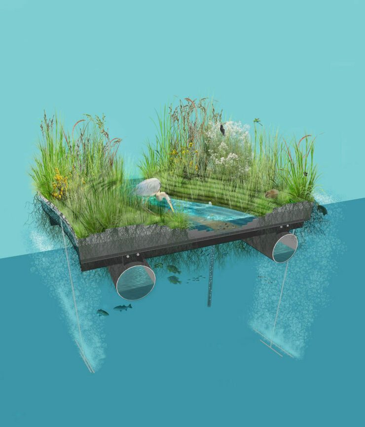 A rendering of a cross-section of a floating wetland installed in Baltimore. NATIONAL AQUARIUM