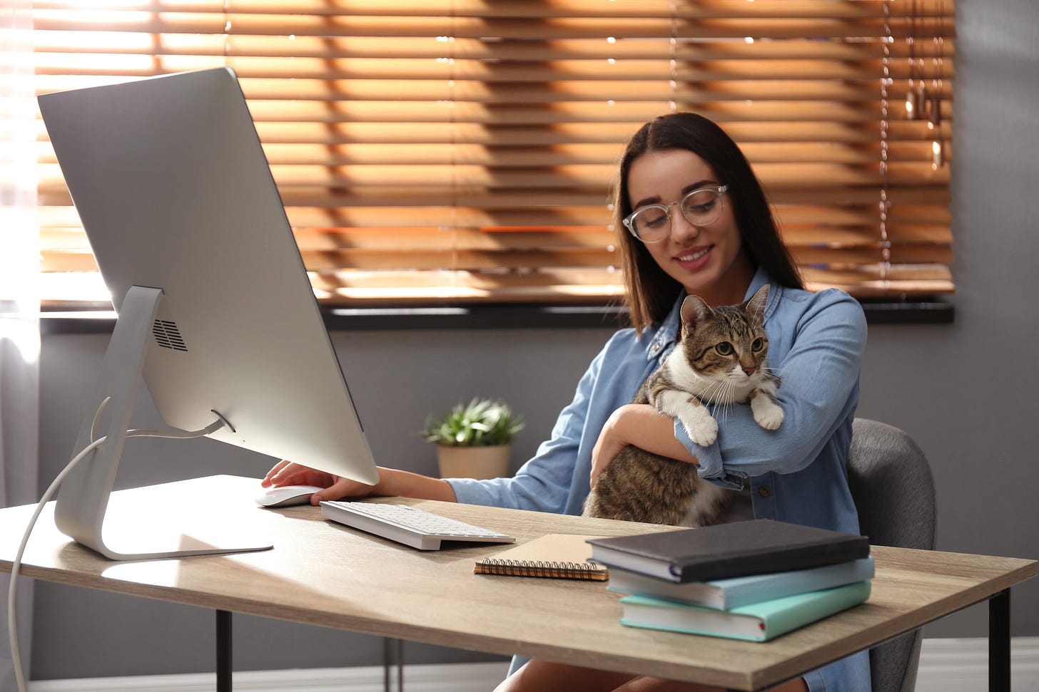 10 melhores áreas para trabalhar home office