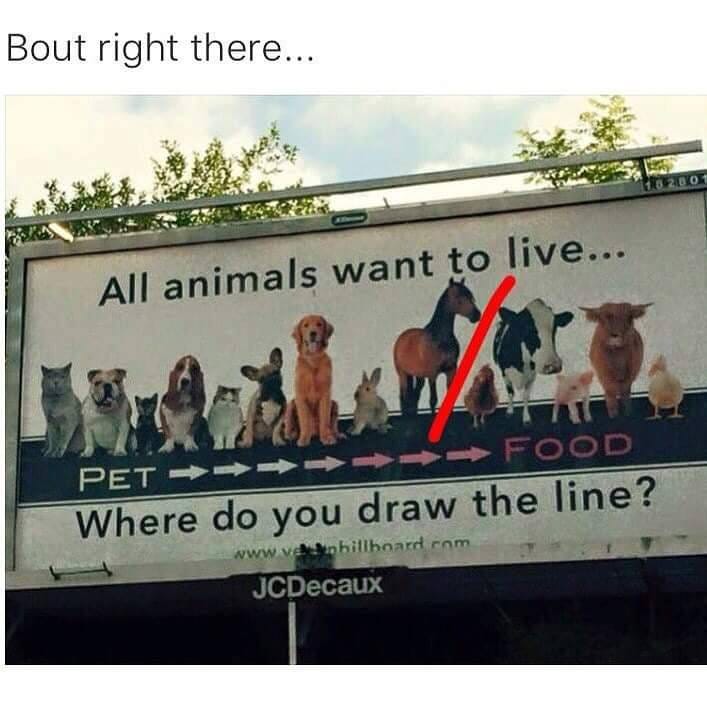 Activists push for vegan lifestyle through billboard ...