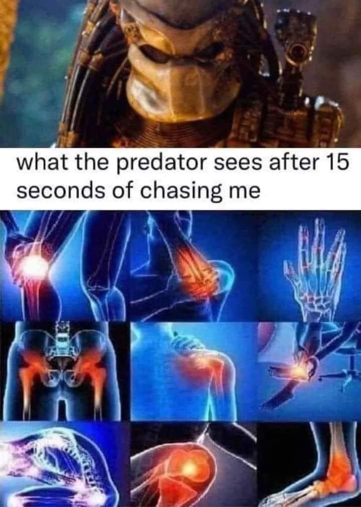 A picture of the sci-fi character, Predator, the words, “what the predator sees after 15 seconds of chasing me,” and pictures of various joints highlighted red to show they’re in pain.