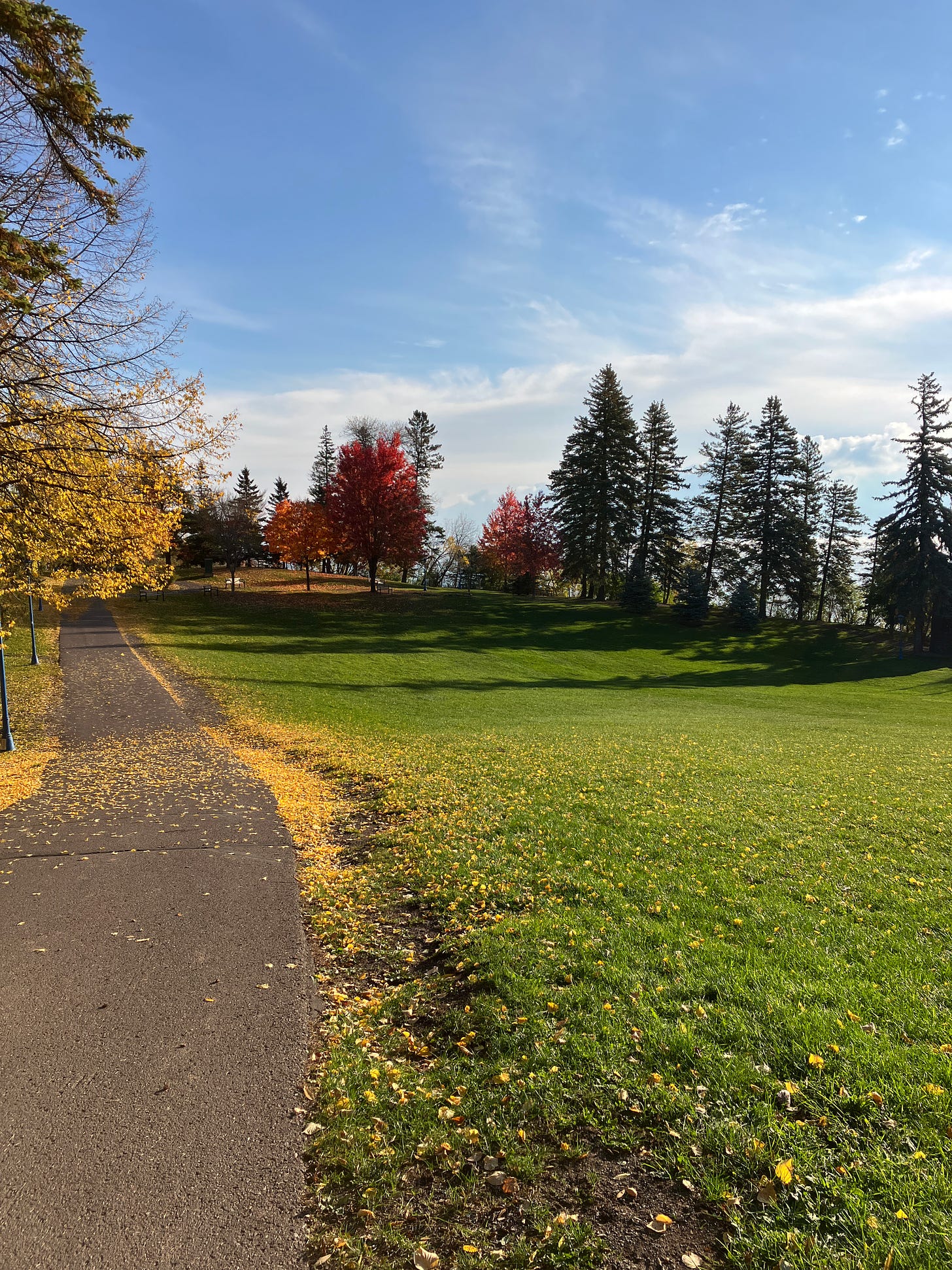 A sunny day with a blue sky. A paved path along a wide grassy field dotted with pines and some maple trees that have changed into fall colors.